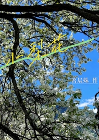 小梨花水晶
